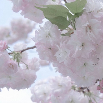 东平FurryQQ群介绍